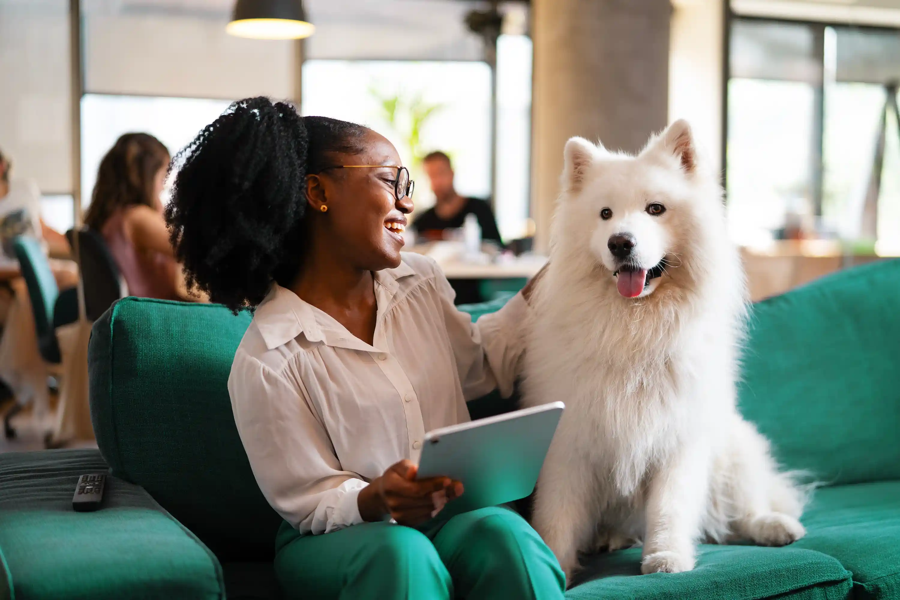 Plano Corporativo - Empresa pet friendly