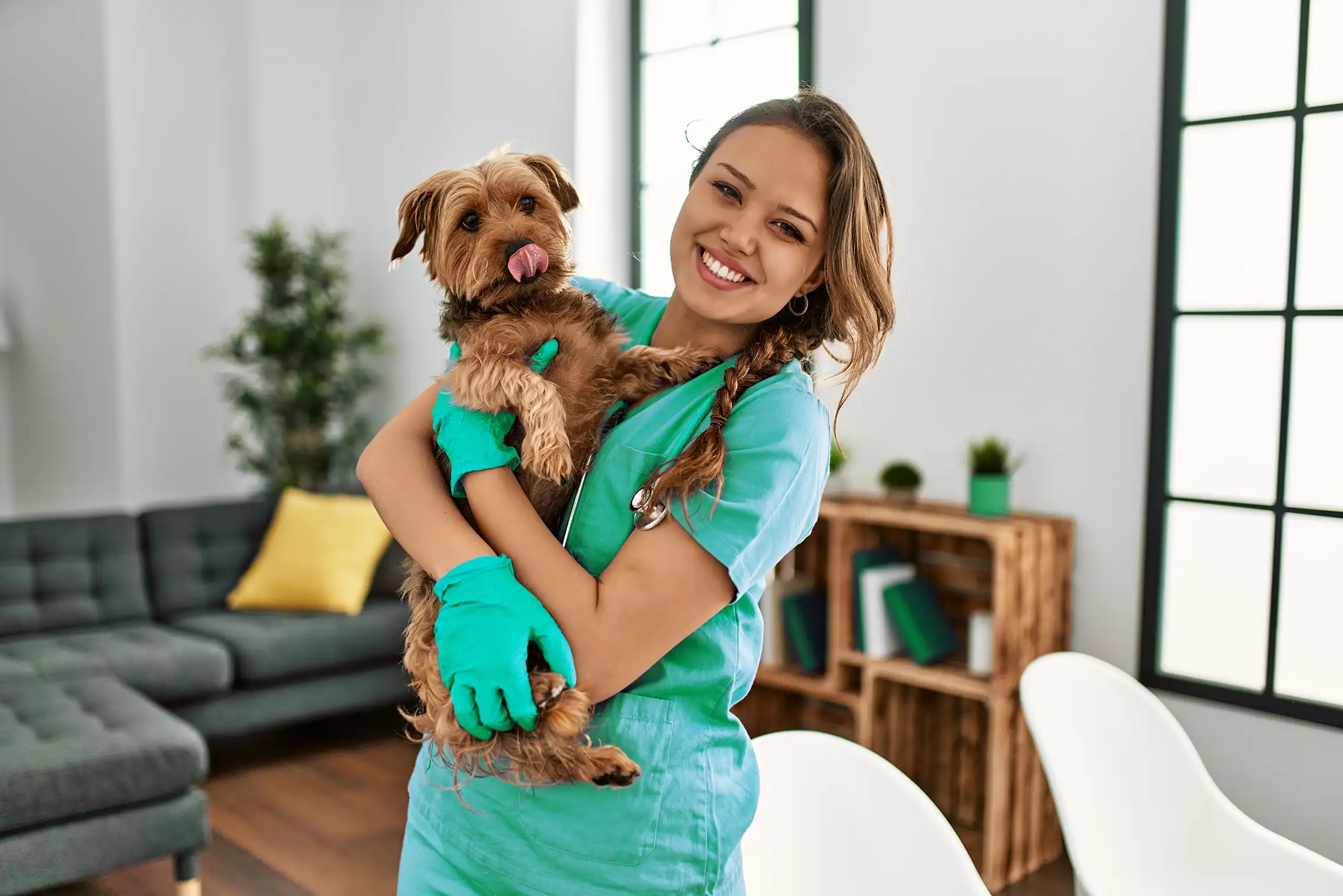 Uma veterinária segurando um cachorro