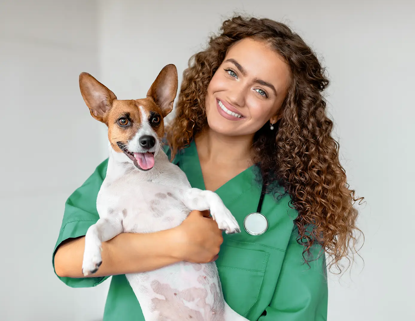 Uma veterinária e um cachorro olhando para um notebook
