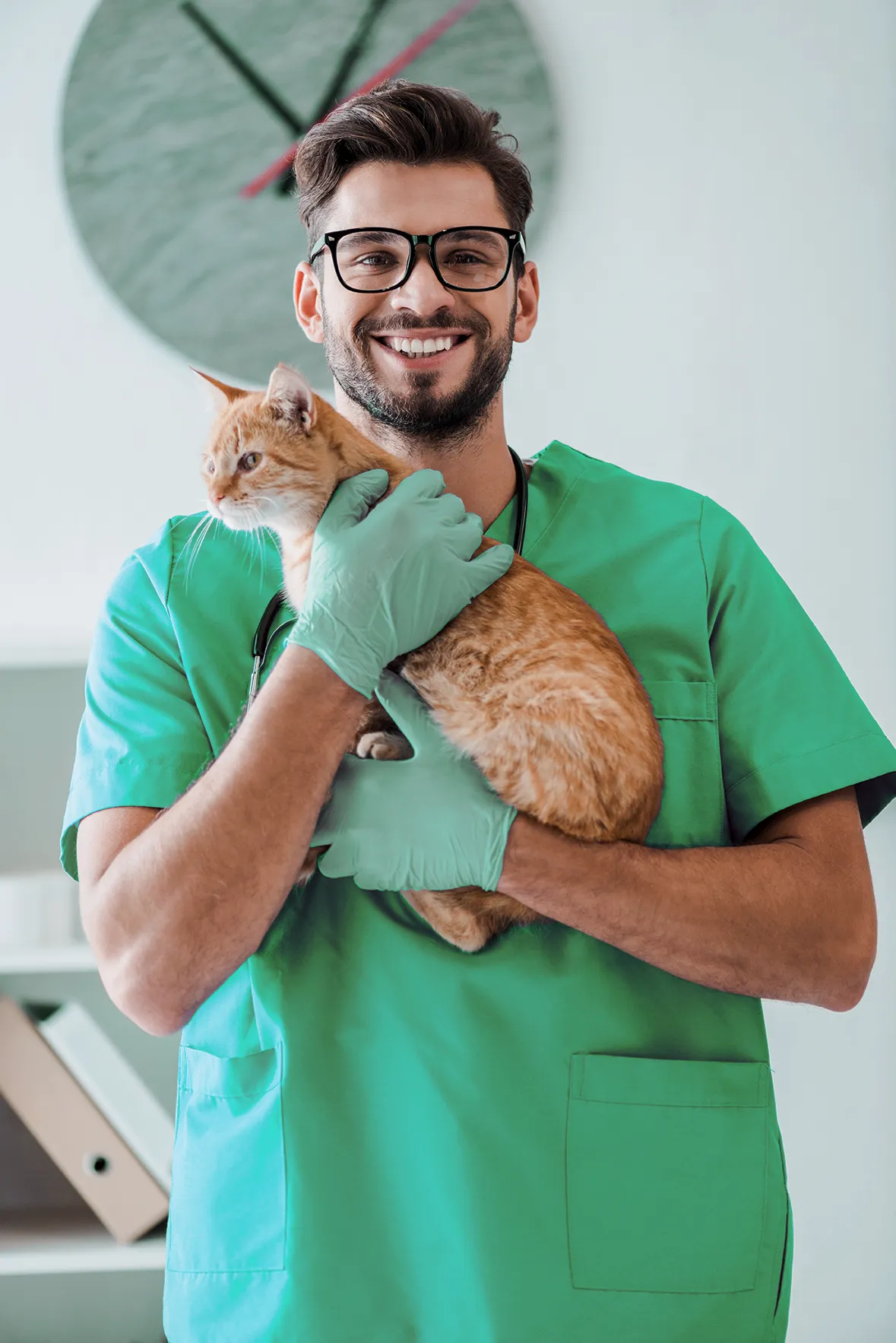 Um veterinário segurando um gato