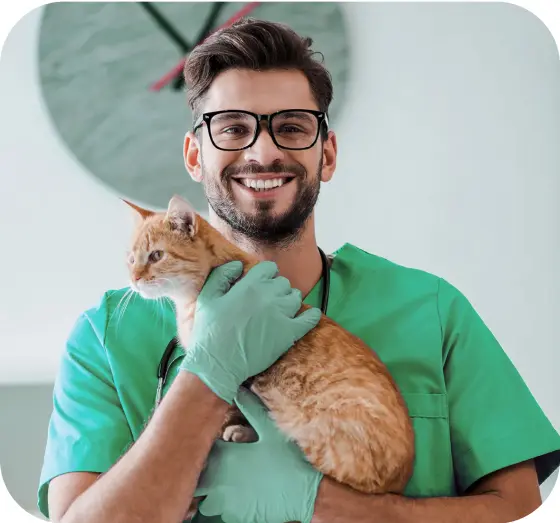 Veterinário sorridente segurando um gato laranja, usando luvas e um uniforme verde, em um ambiente clínico.